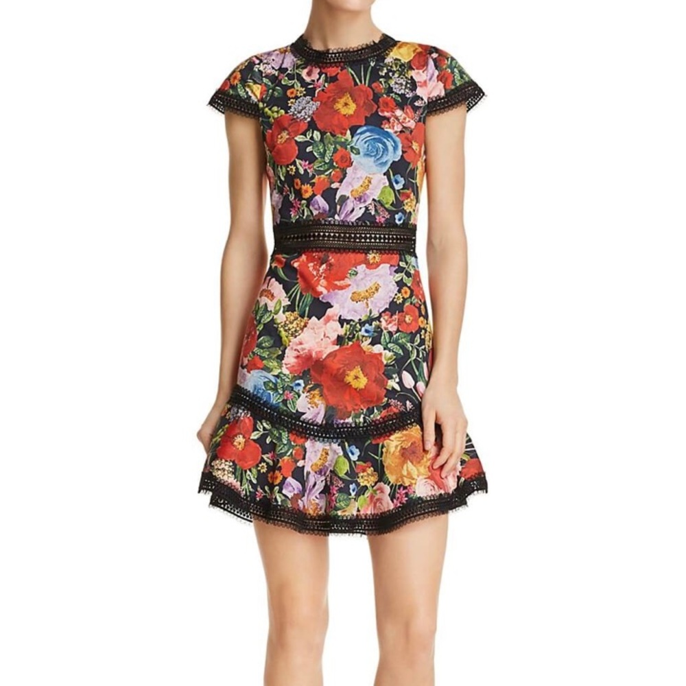 Alice + Olivia Rapunzel Lace-Trim Floral Print Dress